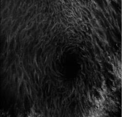 Anno Domini Mortus : Reprobo ut Abyssus